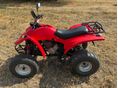 ADLY ATV 300 2004/4 - 6