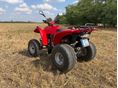 ADLY ATV 300 2004/4 - 7