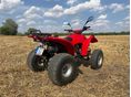 ADLY ATV 300 2004/4 - 8