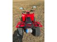 ADLY ATV 300 2004/4 - 9