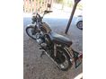 KAWASAKI W 650 1999 - 4