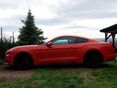 FORD MUSTANG 2016 - 3