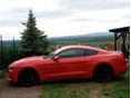 FORD MUSTANG 2016 - 4