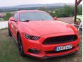 FORD MUSTANG Fastback 5.0 Ti-VCT V8 GT