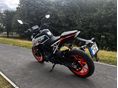 KTM 125 DUKE 2024/9 - 7