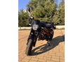 BENELLI BN 125 2023 - 2