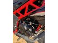 BENELLI BN 125 2023 - 7