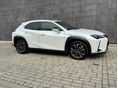 LEXUS UX 2020/5 - 9