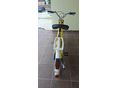 BABETTA 28 1974 - 3