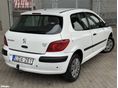 PEUGEOT 307 2005 - 5