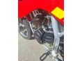 MALAGUTI GRIZZLY RXC 12 2009/5 - 5