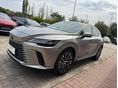 LEXUS RX 2024/11 - 5