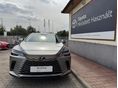 LEXUS RX 2024/11 - 6
