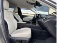LEXUS RX 2024/11 - 11