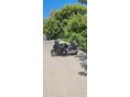 HONDA CBR 1100 XX 2001/5 - 2