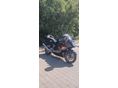 HONDA CBR 1100 XX 2001/5 - 3