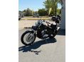 HONDA NV 400 C STEED 1993 - 6