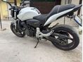 HONDA CB 600 F (HORNET) 2012/5 - 5