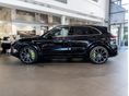 PORSCHE CAYENNE 2020/1 - 3