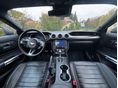 FORD MUSTANG 2021/10 - 12