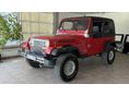 JEEP WRANGLER 1993 - 2