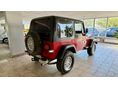 JEEP WRANGLER 1993 - 3