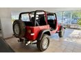 JEEP WRANGLER 1993 - 5