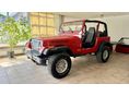 JEEP WRANGLER 1993 - 2