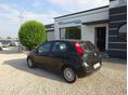 FIAT PUNTO 2006/11 - 6