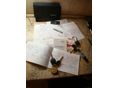 NISSAN MICRA 2016/11 - 13