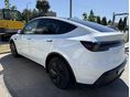 TESLA MODEL Y 2026/1 - 3