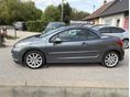 PEUGEOT 207 2009/11 - 8