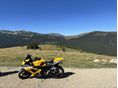 SUZUKI GSX-R 1000 