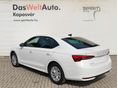 SKODA OCTAVIA 2026/8 - 2