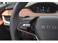 SKODA ENYAQ 2025/10 - 14