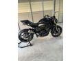 BENELLI 752 S 2020/9 - 2