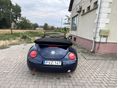 VOLKSWAGEN BEETLE 2004/10 - 8