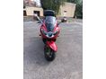 TRIUMPH SPRINT ST 1050 2005/10 - 2