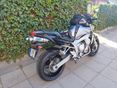 YAMAHA FZ6-N 2005/3 - 2