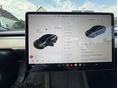 TESLA MODEL 3 2021/8 - 12