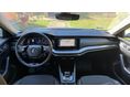 SKODA OCTAVIA 2021/8 - 4