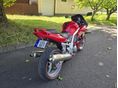 SUZUKI SV 1000 S 2005/12 - 5