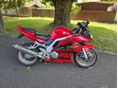 SUZUKI SV 1000 S 2005/12 - 6