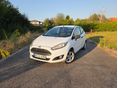 FORD FIESTA Van 1.5 TDCi Trend klíma - multikormány - tempomat - fűthető szélvédő