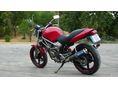 HONDA VTR 250 2000 - 7