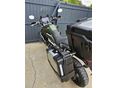 TRIUMPH TIGER 900 2020/8 - 10