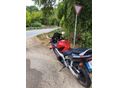 HONDA CBR 600 F 2007/5 - 3