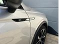 VOLKSWAGEN TIGUAN 2021/9 - 7