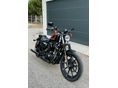 HARLEY-DAVIDSON SPORTSTER 883 IRON 2021/3 - 2