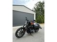 HARLEY-DAVIDSON SPORTSTER 883 IRON 2021/3 - 11
